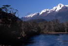 Fiordland090_edited-1.jpg